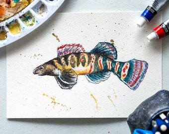 Niangua Darter Illustration, Original Artwork, Watercolor Painting, Fish Art