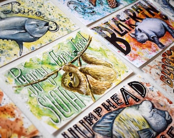 Juego de 20 postales de vida silvestre