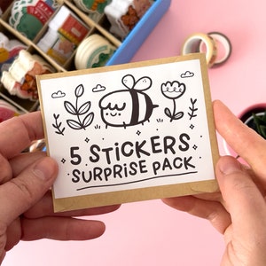 5 Stickers Surprise Pack, Bündel matte und glänzende Vinyl-Aufkleber, wasserfeste Aufkleber.