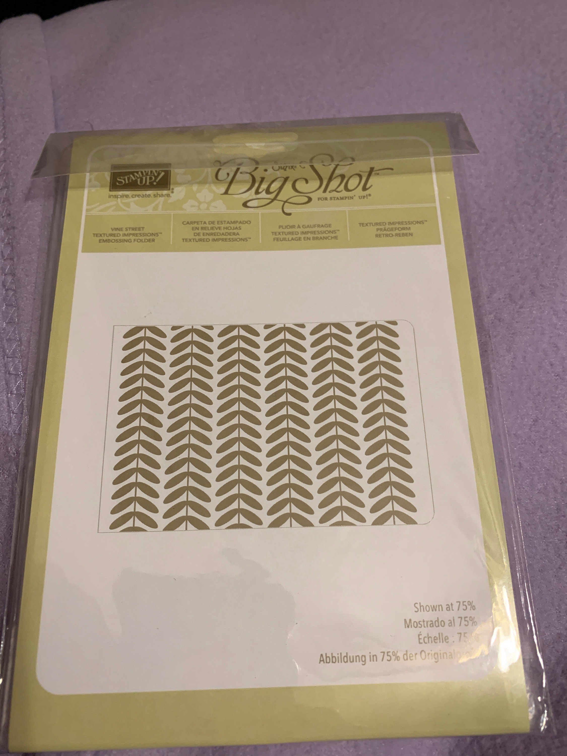 Stampin Up Retired textured embossing folder Vine Street Etsy