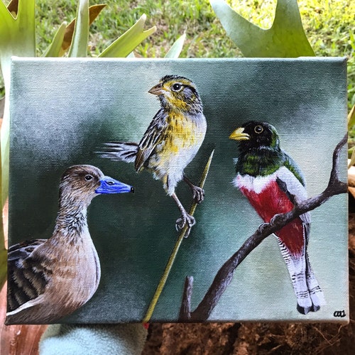 CUSTOM - shops Bird Painting