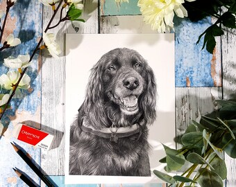 Custom pet portrait drawing in graphite by Wild Portrait Artist