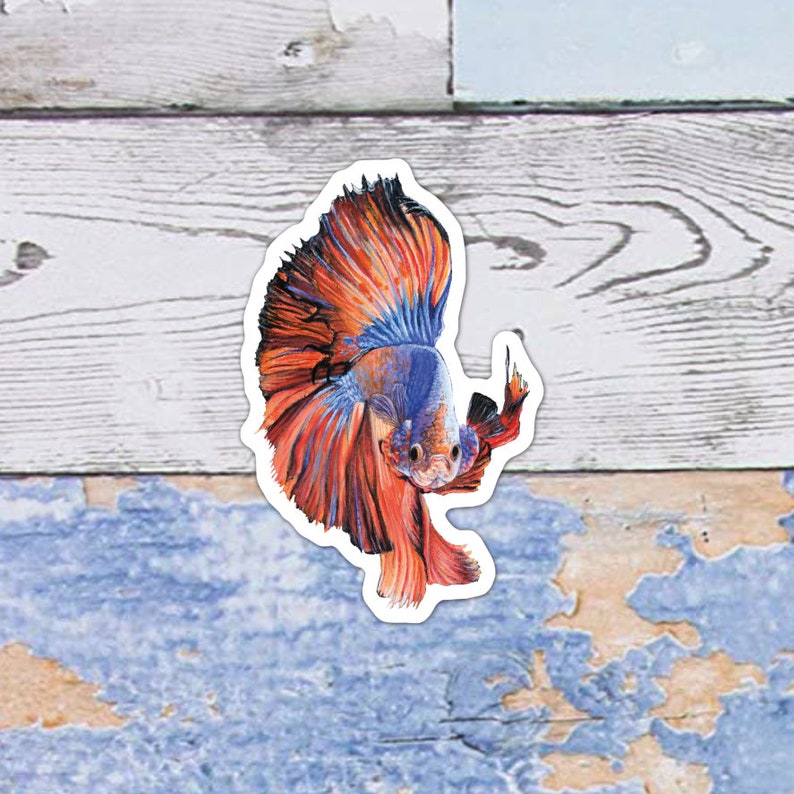 Realistic Betta Fish Sticker 8x8cm Colourful Siamese Fighting image 1