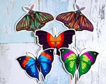 Butterflies and moths sticker - 5 large 10cm vinyl stickers of Lepidoptera species, spanish moon moth, oakleaf butterfly