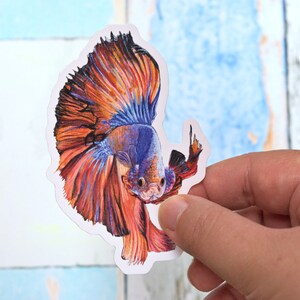 Realistic Betta Fish Sticker 8x8cm Colourful Siamese Fighting image 3
