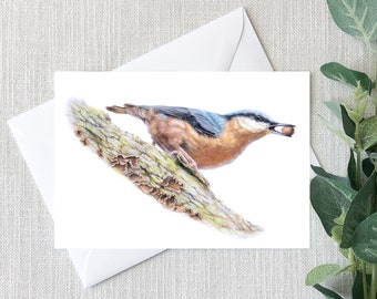 Nuthatch Holding an Acorn Greeting Card of Wildlife, Made in the UK, blank inside