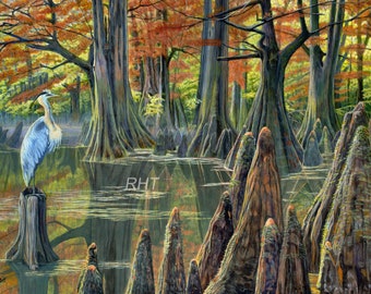 Blue Heron Swamp