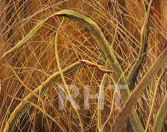 Prairie Grasses, 12 x 16 inches, Original giclee print,  by Roxanne Thompson