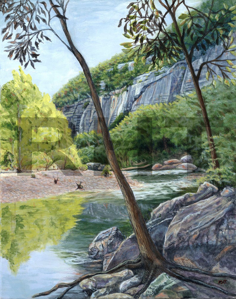 Buffalo River, Steel Creek View, 16 x 20 in., Original giclee print by Roxanne Thompson image 1