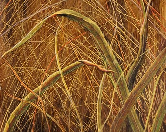 Prairie Grasses, 12 x 16 inches, Original giclee print,  by Roxanne Thompson