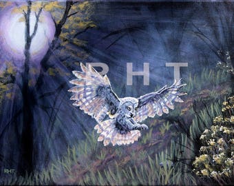 Owl on Black,  16 x 12 in., original giclee prints,  by Roxanne Thompson