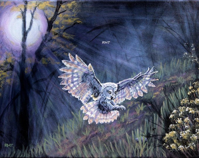 Owl on Black,  16 x 12 in., original giclee prints,  by Roxanne Thompson