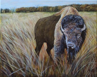 Buffalo Rex, 20 x 16 pulgadas, pintura acrílica, por Roxanne Thompson