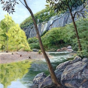 Buffalo River Fine Art Print: Steel Creek View Plein-Air Painting (16x20 in)