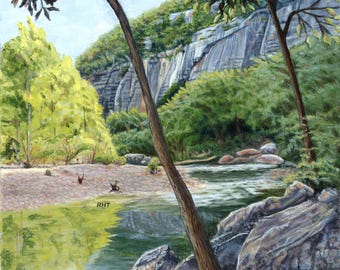 Buffalo River Fine Art Print: Steel Creek View Plein-Air Painting (16x20 in)