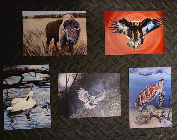 Fantastic Animals, 5 Card Set