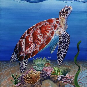 Turtle Drifting, 18 x 24 in., Original giclee print,   by Roxanne Thompson
