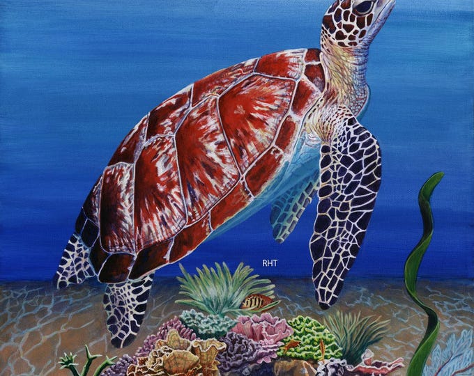 Turtle Drifting, 18 x 24 in., Original giclee print,   by Roxanne Thompson