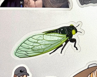 Green Cicada Sticker | Transparent Vinyl Decal