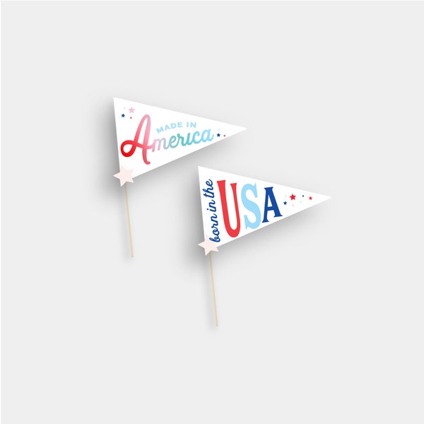 4th of July Pennant Flags USA America Made in America Born in the USA Baby's First Instant Printable Download