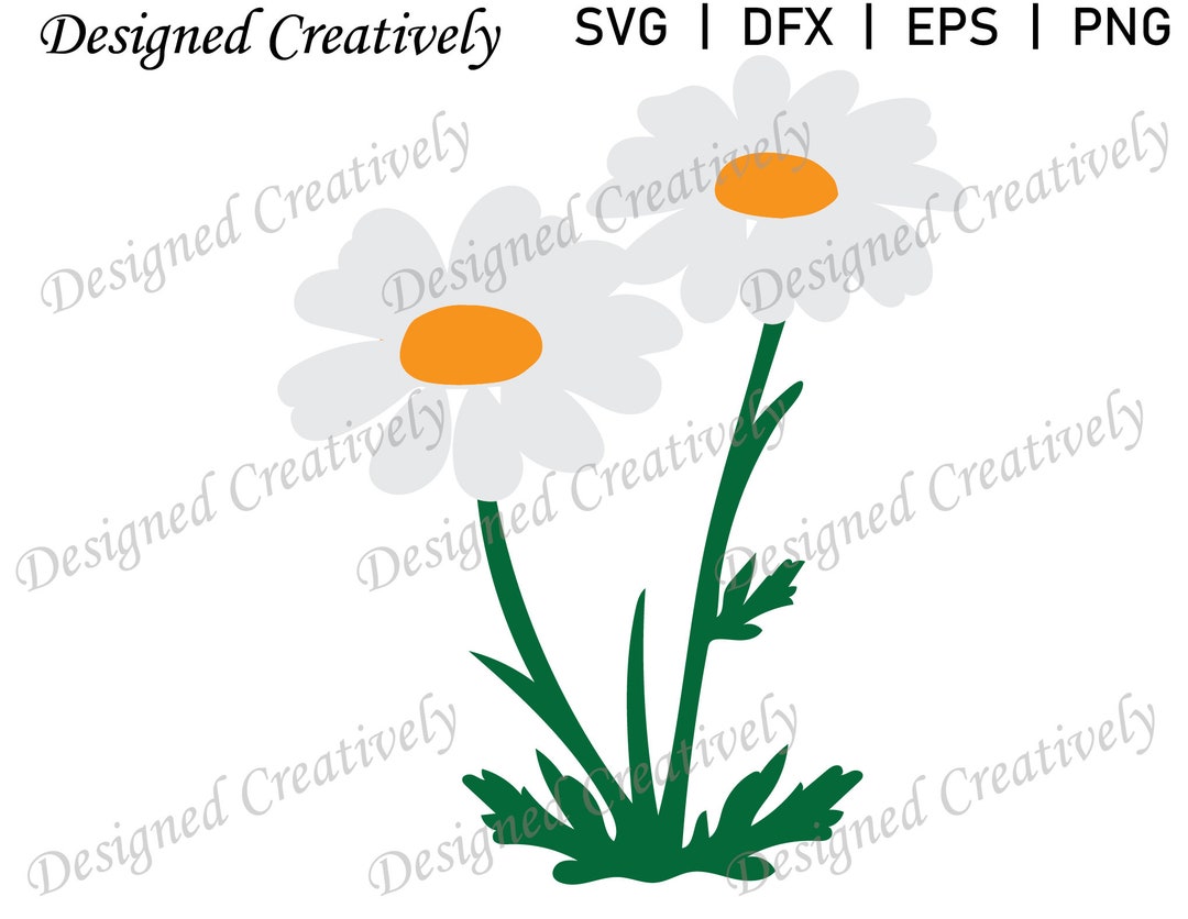 Daisy SVG, Flower SVG, Spring Flowers SVG, Flowers Svg, Flower Cut File