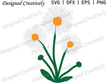 Stokrotka SVG, Kwiat SVG, Bukiet stokrotek SVG, Natura SVG, Flora SVG, Plik z wyciętymi kwiatami, Grafika wektorowa kwiatów, Wiosna SVG, Grafika wektorowa stokrotek, Obraz stokrotki