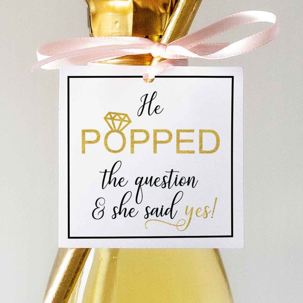 He Popped the Question and She Said Yes! Engagement Party, Wedding, Bridal Shower, Favour Tag,  Favor Tag, Mini Champagne Bottle, Popcorn