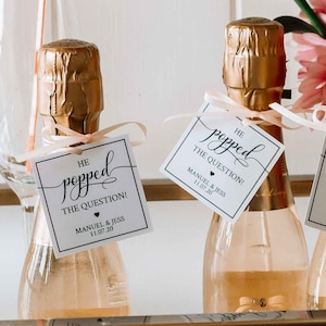 Editable PDF, He Popped the Question Engagement Party Favor Tag, Bridal Shower Favour Tag, Mini Champagne Bottle, Popcorn, Sticker, SWCS1