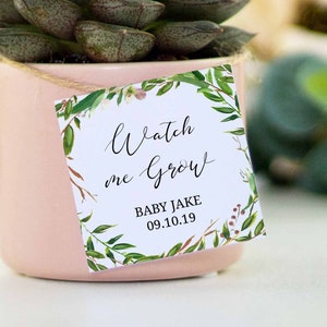 Watch me Grow Tag, Baby Shower Favor Tags, Favour Tags, Succulent, Plant, White Roses, Greenery, Boy, Girl, Neutral, Unisex, Printable, WV1