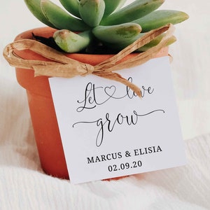 Let Love Grow, Sukkulenten Gastgeschenk Hochzeit, Kaktus, Elopement, Verlobung, Minimalistisch, Einfach, Modern, Tisch, SR1