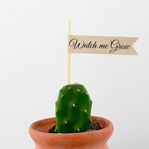 INSTANT DOWNLOAD, Watch Me Grow Flag, Baby Shower Favor, Succulent Flag, Plant Tag, Cactus Favor Tag, Toothpick Flag, Printable, Favour