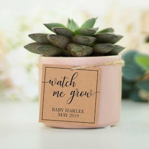 Watch Me Grow Tags, PDF modifiable, Favor Tags, Baby Shower Favor Tags, Tags imprimables, Favor Tags, Plant Tags, Téléchargement instantané, Imprimables, BS1