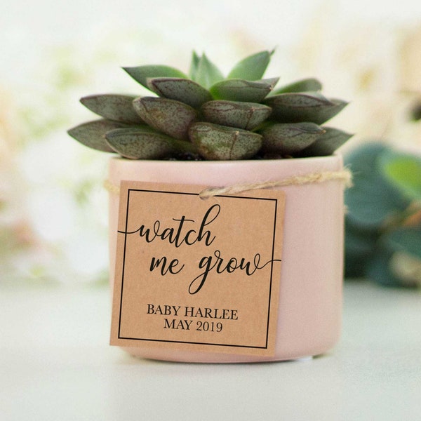 Watch Me Grow Tags, Editable PDF, Favor Tags, Baby Shower Favor Tags, Printable Tags, Favour Tags,Plant Tags,Instant Download,Printables,BS1