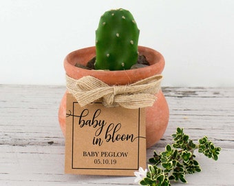 EDITABLE PDF, Baby In Bloom, Baby Shower Favor Tags, Favour, Thank you, Gift Tags, Plant, Cactus, Flower, Square,Sticker,Label,Printable,BS1