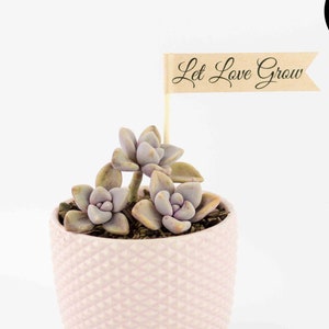 Deixe o amor crescer bandeiras, etiquetas para lembrancinhas de casamento, etiquetas para lembrancinhas, bandeiras para palitos de dente, lembrancinhas suculentas, cactos, ervas, presentes de agradecimento, para impressão
