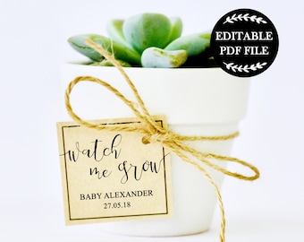 baby shower favours etsy
