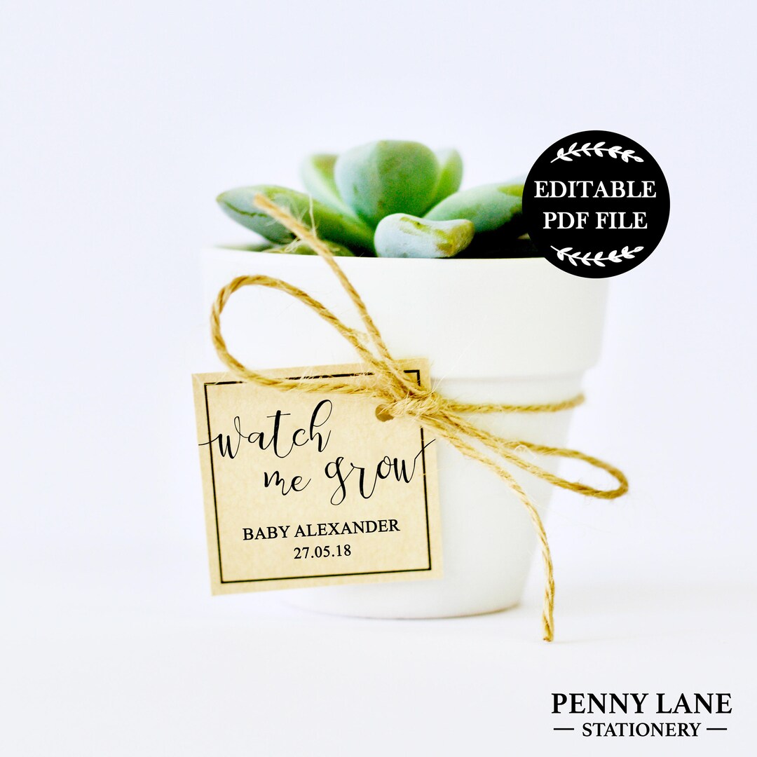 Editable PDF, Watch Me Grow Tags, Baby Shower Gift Tags, Baby Shower ...