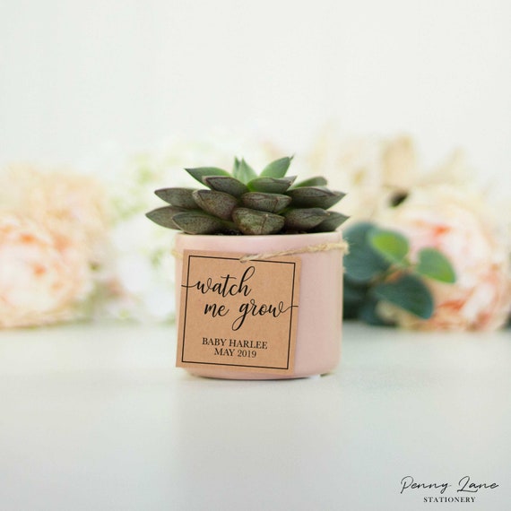 Watch Me Grow Tags, Editable PDF, Favor Tags, Baby Shower Favor Tags, Printable Tags, Favour Tags,Plant Tags,Instant Download,Printables,BS1 Il_570xn