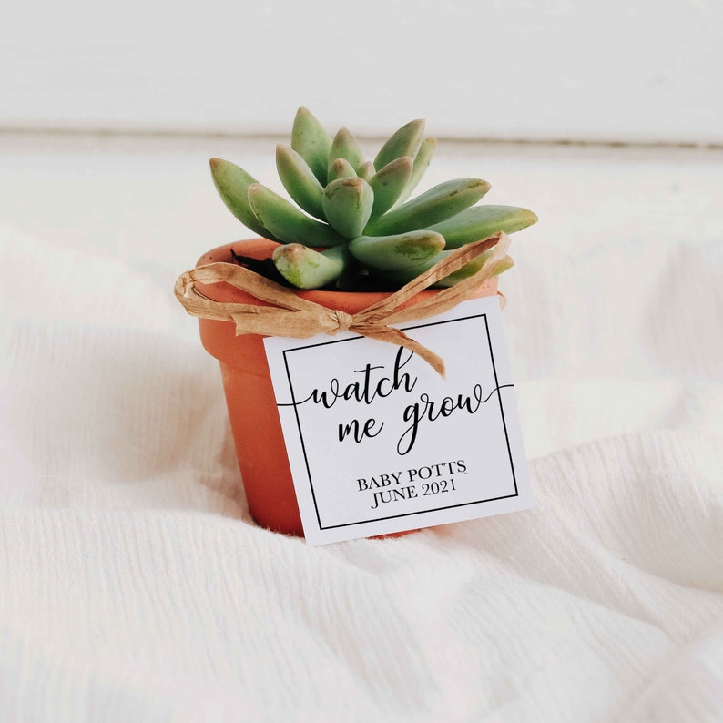 Watch Me Grow Tags, Editable PDF, Favor Tags, Baby Shower Favor Tags, Printable Tags, Favour Tags,Plant Tags,Instant Download,Printables,BS1 image 2