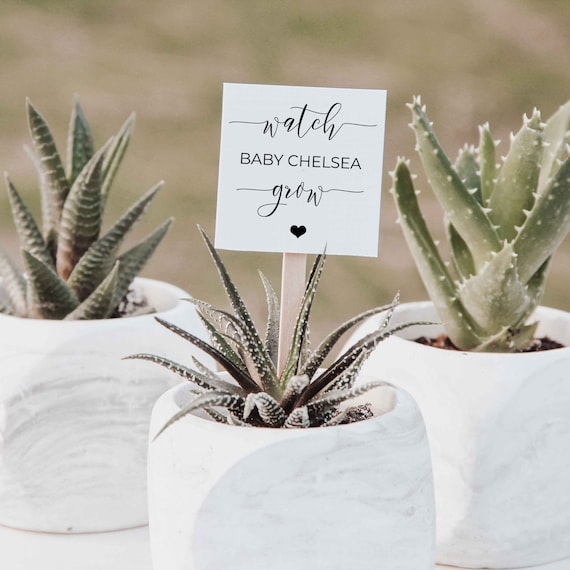 Baby Shower Plant Favor, Succulent Favours, Tag, Label, Sticker, Square