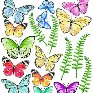 Julie's SurfaceTattoos Butterfly velden afbeelding 3