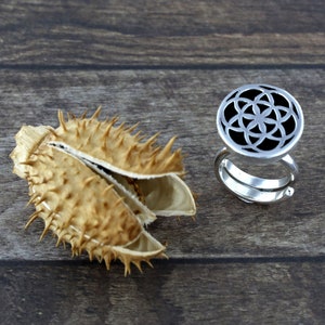 May include: A silver ring with a black openwork design in the shape of a flower of life. The ring is on a wooden surface next to a dried spiky seed pod.
