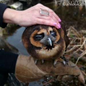 May include: A brown and tan owl with one eye closed, perched on a gloved hand. The owl has a light blue eye and a dark beak. The owl is being held by a person wearing a black jacket and blue jeans.