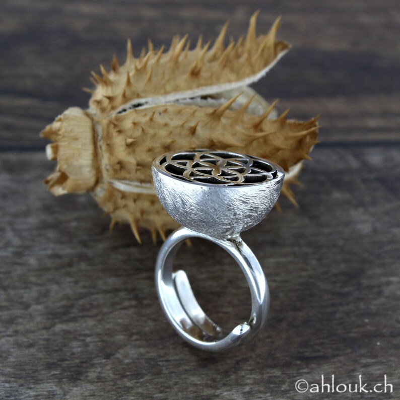 May include: A silver ring with a textured finish and a geometric design in the center. The ring is set against a background of a dried, spiky plant.