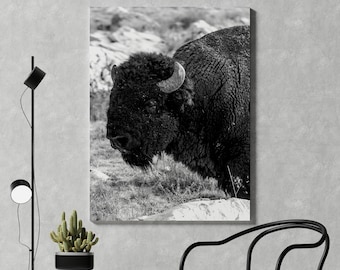 Buffalo wall art canvas Black and White living room decor Bison printed on canvas for wall decor Farmhouse decor Buffalo extra large art