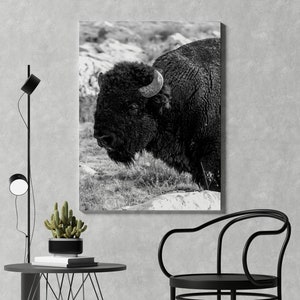 Büffel Wand Kunst Leinwand Schwarz Weiß Wohnzimmer Dekor Bison bedruckt auf Leinwand für Wanddekoration Bauernhaus Dekor Büffel extra große Kunst