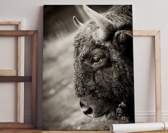 Buffalo wall art canvas, Black and White living room decor, Bison printed on canvas for wall decor, Farmhouse decor, Buffalo extra large art