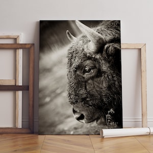 Buffalo Wand Kunst Leinwand, Schwarz und Weiß Wohnzimmer Dekor, Bison gedruckt auf Leinwand für Wanddekor, Bauernhaus Dekor, Buffalo extra große Kunst