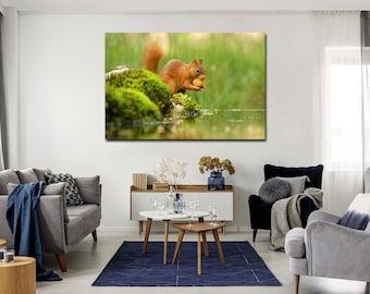 Squirrel canvas prints - Squirrel wall art, Kids room decor, Animals print, Bedroom decor, Wild life picture , Nursery wall art, Forest art