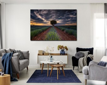 Lienzo decorativo de campo de lavanda: impresión de un paisaje floral brillante